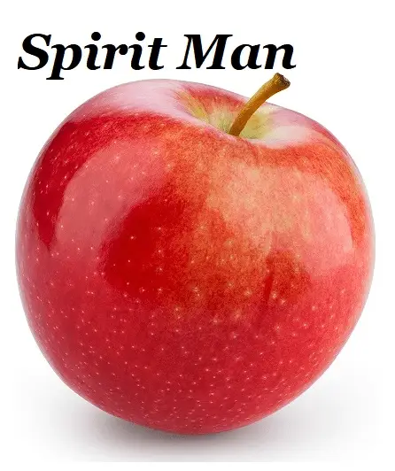 In the beginning, God created [A] man, in Christ, by His word. Afterwards, Christ, the LORD God, formed [A] man from the dust of the ground. The spirit-man is what God created and made.